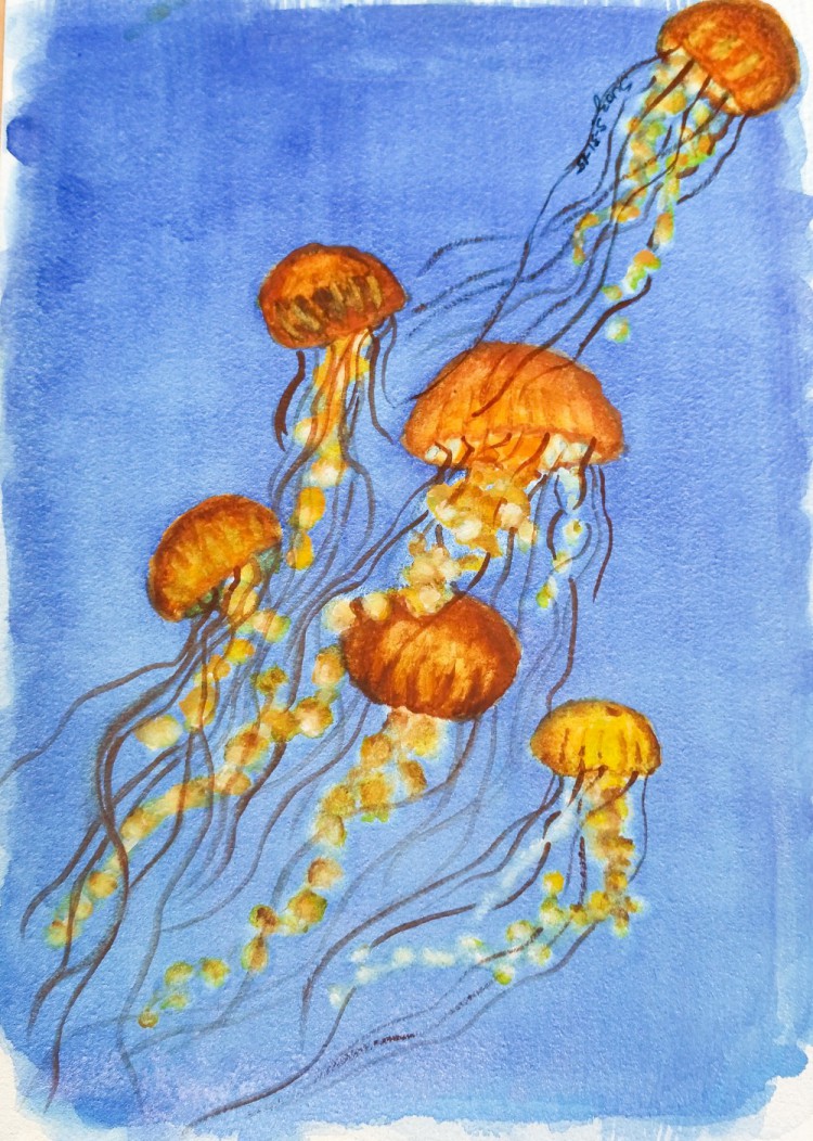 jellyfish